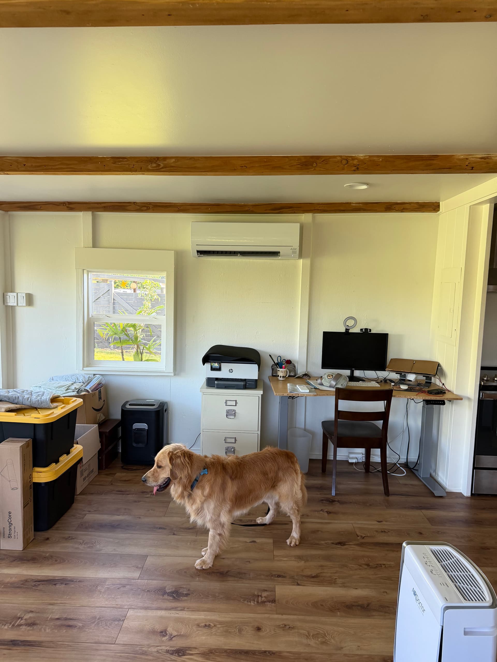 When Even the Dog Approves of Your AC System image