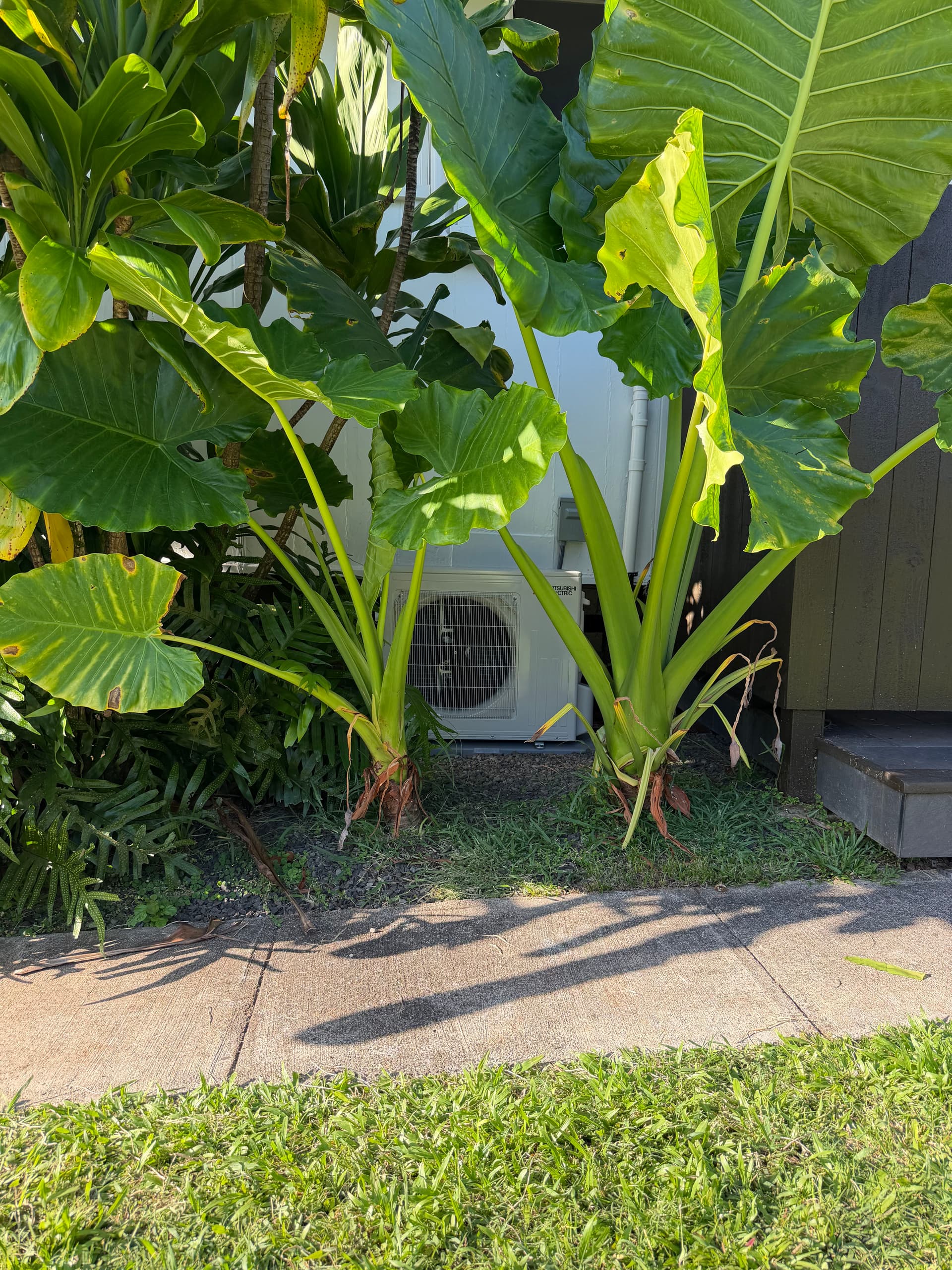 Your AC Works Harder in Tropical Heat - Here's What to Know image