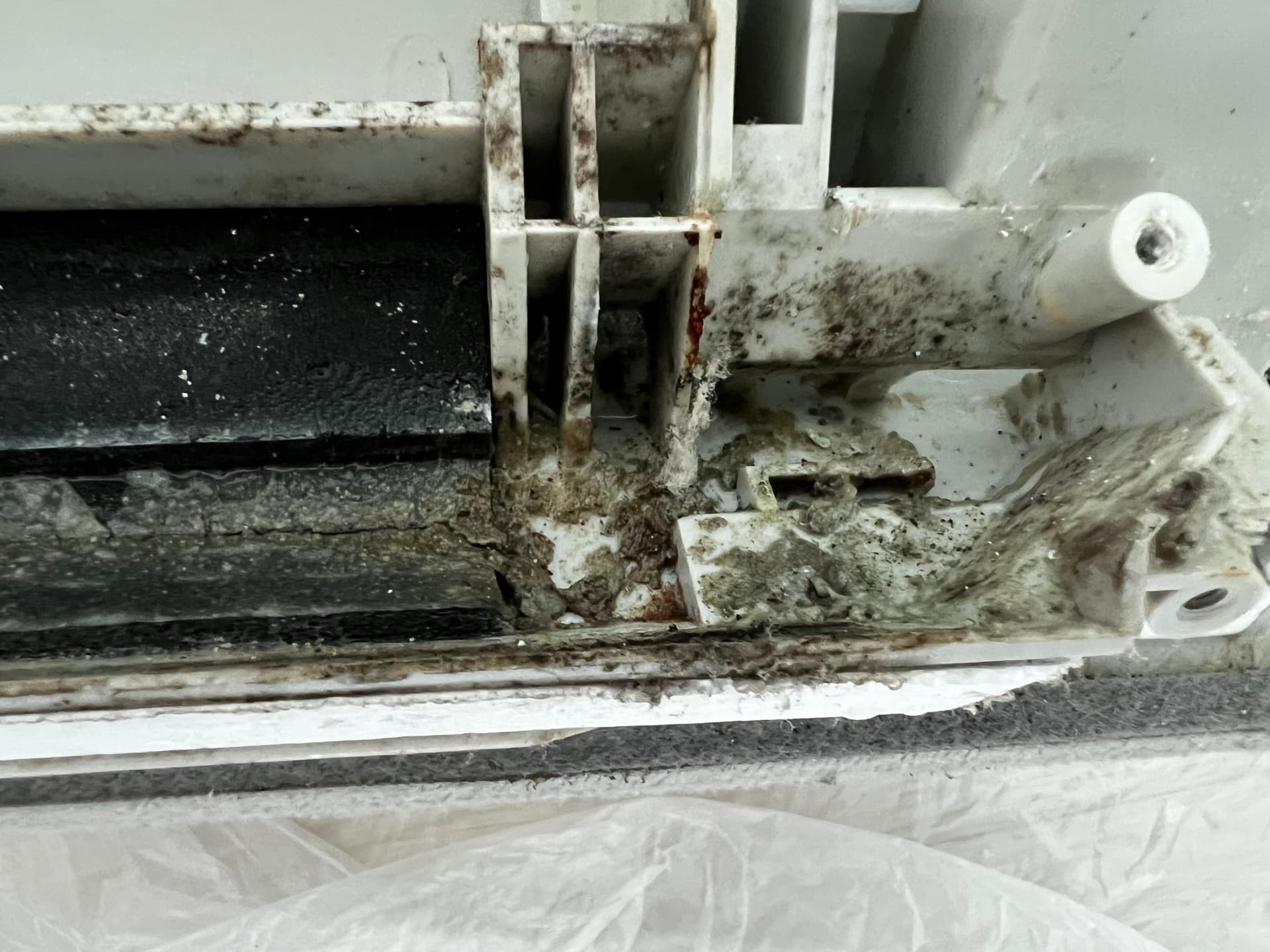 Mold Alert in Honolulu AC Units image