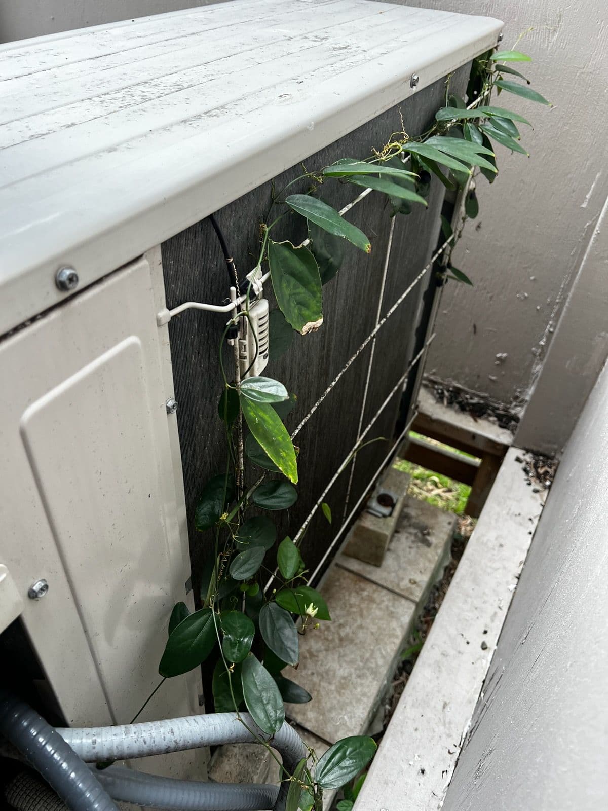 Air Masters Inc. Tackles AC Maintenance Challenge with Expertise image