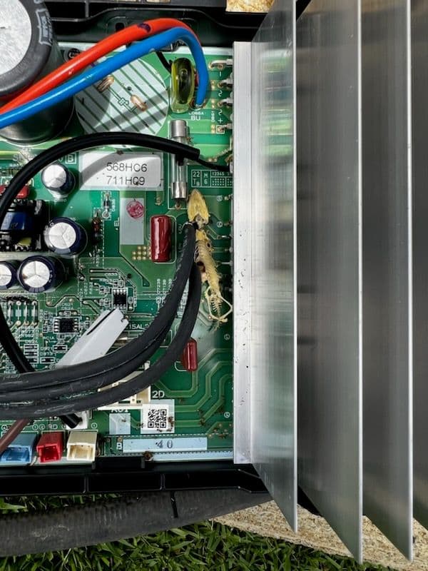 Gallery photos for Wildlife in HVAC Circuits Swiftly Fixed: Image #2
